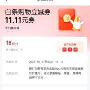 京东金融 每日10点18积分兑换11.11元白条购物立减券