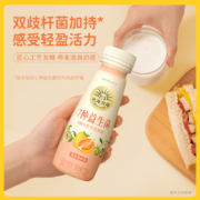 北海牧场 7种益生菌黄金蜜柚味酸奶 220g*12瓶