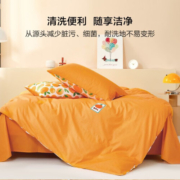 百丽丝水星集团出品 床上四件套纯棉被套床单四件套床上用品全棉被罩 全棉套件【简约系列】 1.5床(被芯:200*230cm）