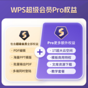 【15号晚8点开抢】WPS超级会员Pro套餐 年卡 到账372天 含模板图片商用特权  500页/月 全文翻译特权 PDF编辑与格式转换  客服在线发会员兑换码 兑换秒到  限购1件 超级会员Pro年