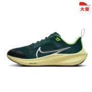 京东百亿补贴:耐克（NIKE）AIR ZOOM PEGASUS 40运动鞋跑步鞋DX2498-301 DX2498-301