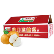 Mr.Seafood 京鲜生 青青大地莱阳羊脂秋月梨4.5斤 6-8个梨子礼盒 水果