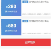 31日20点、领券备用：京东 满7000-580/3500-280元 双11PLUSDAY超级补贴券