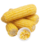 百亿补贴：惠寻  黄糯玉米 220g*8根