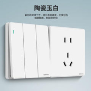 fdd 国际电工 开关插座面板家用86型暗装白色陶瓷芯双控开关五孔USB电源插座 错位五孔（陶瓷芯）