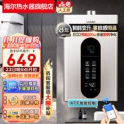 Haier 海尔 JSQ22-12LY(12T)U1 燃气热水器 12L