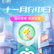 网上国网-11月充电日，交费享优惠