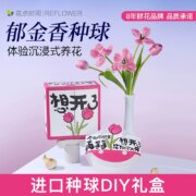 花点时间 郁金香种球鲜花种子进口种球DIY礼盒（5颗单瓣种球）
