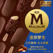 梦龙 迷你冰淇淋雪糕（香草42g*3支+松露43g*3支）任选5件