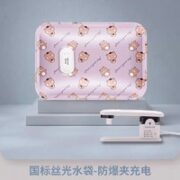 CHIGO 志高 充电热水袋 基础暖床款