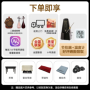 星海（XINGHAI INSTRUMENT）立式钢琴德国进口配件 智能静音钢琴 初学考级演奏通用钢琴 K-121E【智能静音】
