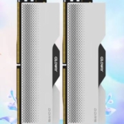 31日20点：GLOWAY 光威 48GB(24GBx2)套装 DDR5 6400 台式机内存条 龙武系列 海力士M-die颗粒 CL32