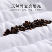 水星儿童 水星宝贝 水星儿童 枕头芯单个 荞麦枕头学生枕纯棉枕套抗菌面料花草枕芯35