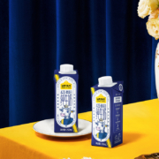 高端A2牛奶，认养一头牛 A2β-酪蛋白纯牛奶 250ml*10盒*2提