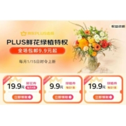 促销活动：全场包邮9.9元起 京东 PLUS会员鲜花特权 每月尊享一次