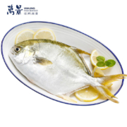 万景 生态原条金鲳鱼550g (1条)×5件 北海湾海鱼 新鲜急冻