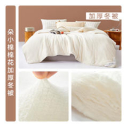 BLISS 百丽丝 100%新疆长绒棉加厚冬被 150*210cm