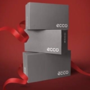 双11预告、31日20点、PLUS会员：ecco 爱步 男鞋799元限量福袋（内含2双鞋）