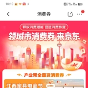 京东 城市消费券