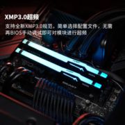 金士顿 (Kingston) FURY 16GB DDR5 4800 台式机内存条 Beast野兽系列 RGB灯条 骇客神条