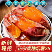 卉双 山东烟薯25号 5斤中果 单果3-8两【净重4.5斤】