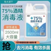 利群酒精消毒液75度喷雾消毒液室内室外杀菌喷剂免洗喷雾 75%酒精2500ML