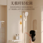 RIIFO/日丰 双功能按键置物冷热花洒套装