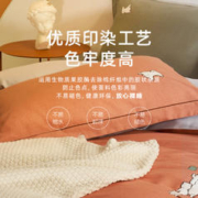 LUOLAI 罗莱家纺 熊熊国度 全棉磨毛套件