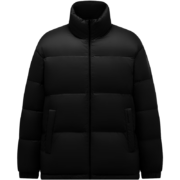 坦博尔 羽绒服男 TF236331 多色