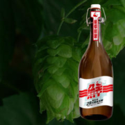 KUJIRA 鲸 都鲜酿精酿啤酒锁鲜装800ml