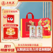 WULIANGYE 五粮液 股份 柔和精制 52度500ml*2 （赠川红 云雾茶250g*2盒）