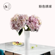 悦多彩 雀梅 绣球 羽衣甘蓝 相思梅 紫罗兰 凤尾 青梅家用水培鲜切花 绣球2支（颜色随机）
