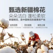 LOVO 乐蜗家纺 乐蜗新疆棉棉花被子春秋冬被全棉棉被被芯冬被棉絮