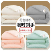 怡莉秀 加厚保暖春秋被 150*200cm 4斤
