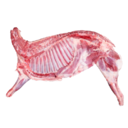 伊民康洋 宁夏滩羊肉 生鲜分割整半只羊 8斤