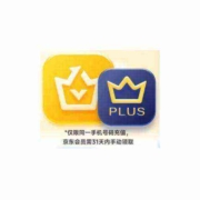 iQIYI 爱奇艺 VIP会员黄金年卡12个月+京东年卡