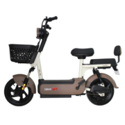 五星钻豹电动车 新国标电瓶车48V20AH电动自行车 A18 源彩棕/F奶白