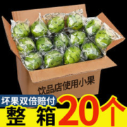 华秧 海南青柠檬20个 一级小青柠金桔香水柠檬