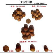 木乃壳 东北小榛子新鲜榛果特产野山榛子臻子坚果2000g原味 散装