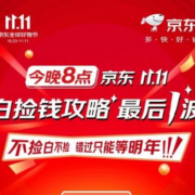 今晚8点 京东平台双11 白捡钱攻略 最后一波