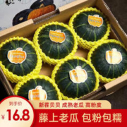 仟阳果舒 当季新茬贝贝南瓜 5斤实惠装