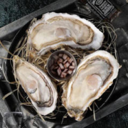 鲁禧海岸 乳山大生蚝 6XL 净重4.5斤