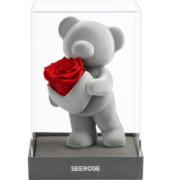西罗斯（SEEROSE）永生花爱心站立保鲜玫瑰熊花束圣诞情人节送女生朋友表白生日礼物 将心予之-嫣红(不支持代写贺卡)