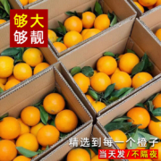 京东百亿补贴：三萌果蔬 5斤中果 单果150g+