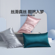 水星家纺100%桑蚕丝枕套 真丝情侣对枕单件酒店贡缎枕头套贡缎织枕罩 丝韵时光真丝枕套(湖水绿) 48x74cm