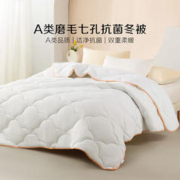 BLISS 百丽丝 被子七孔透气抗菌 加厚冬被 200cm×230cm