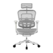 88VIP、聚划算百亿补贴：Ergonor 保友办公家具 保友金豪E2代 人体工学电脑椅