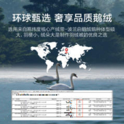 LUOLAI 罗莱家纺 秋冬被子被芯双人床加厚保暖羽绒被奢华进口95鹅绒冬被
