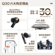 万魔真无线蓝牙耳机 主动降噪入耳式 游戏运动音乐耳机 Q30 黑色