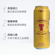 替牌拉格精酿  黄啤酒 整箱 英国进口 替牌500ml*24听装 新旧包装随机发货